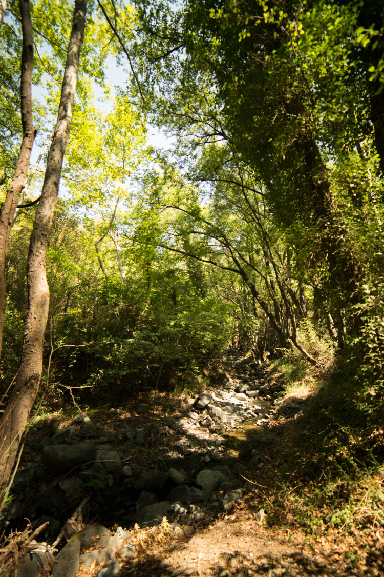 Cyprus waterfalls