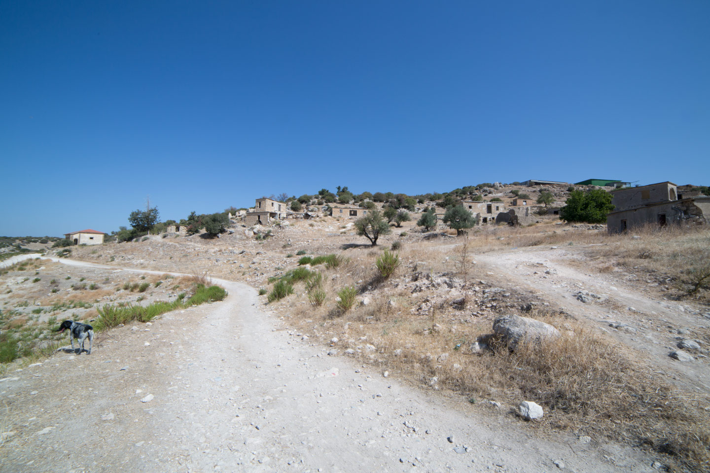 yurts in cyprus