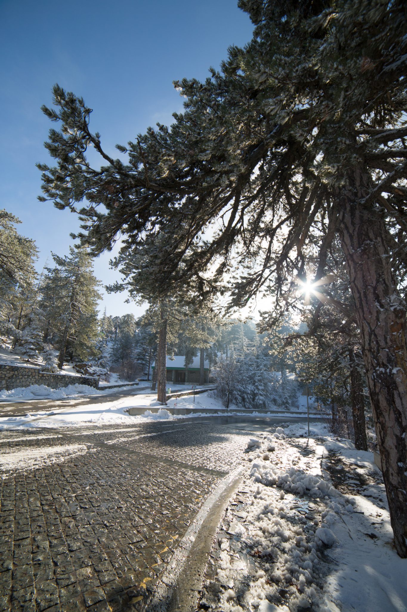 first-snow-troodos-cyprus-17