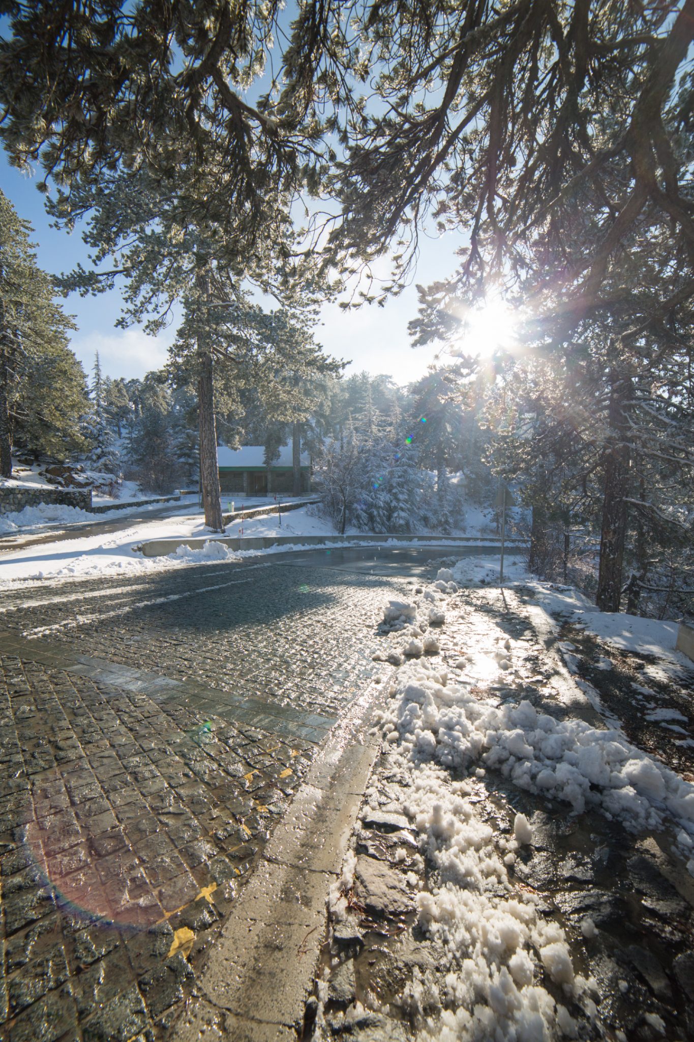 first-snow-troodos-cyprus-20