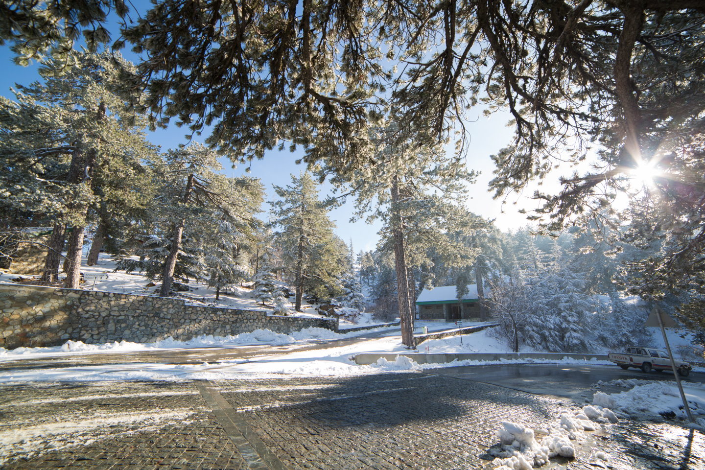 first-snow-troodos-cyprus-23