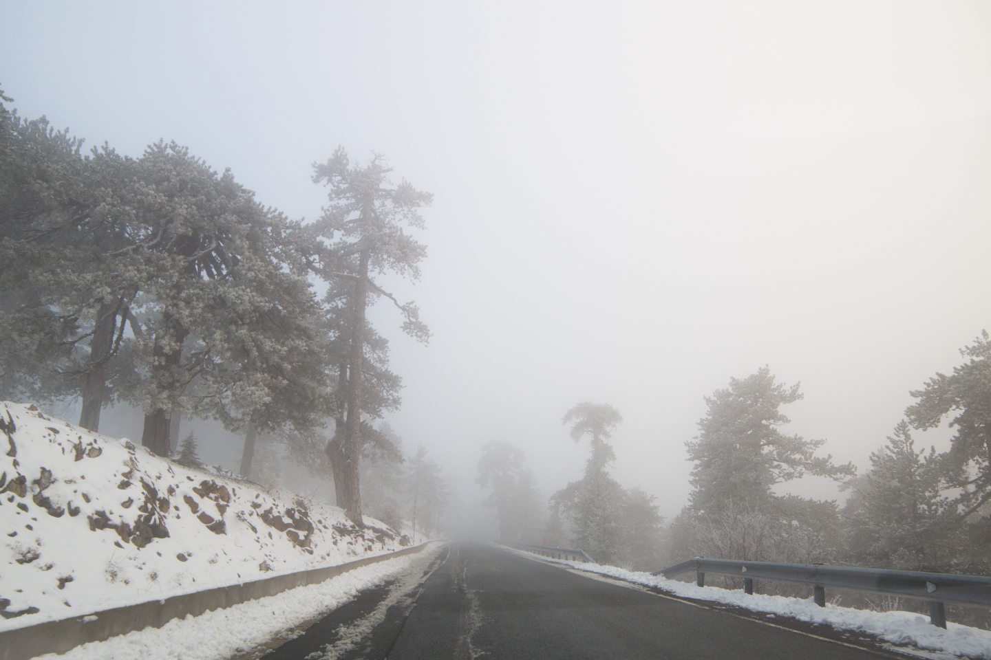 first-snow-troodos-cyprus-25