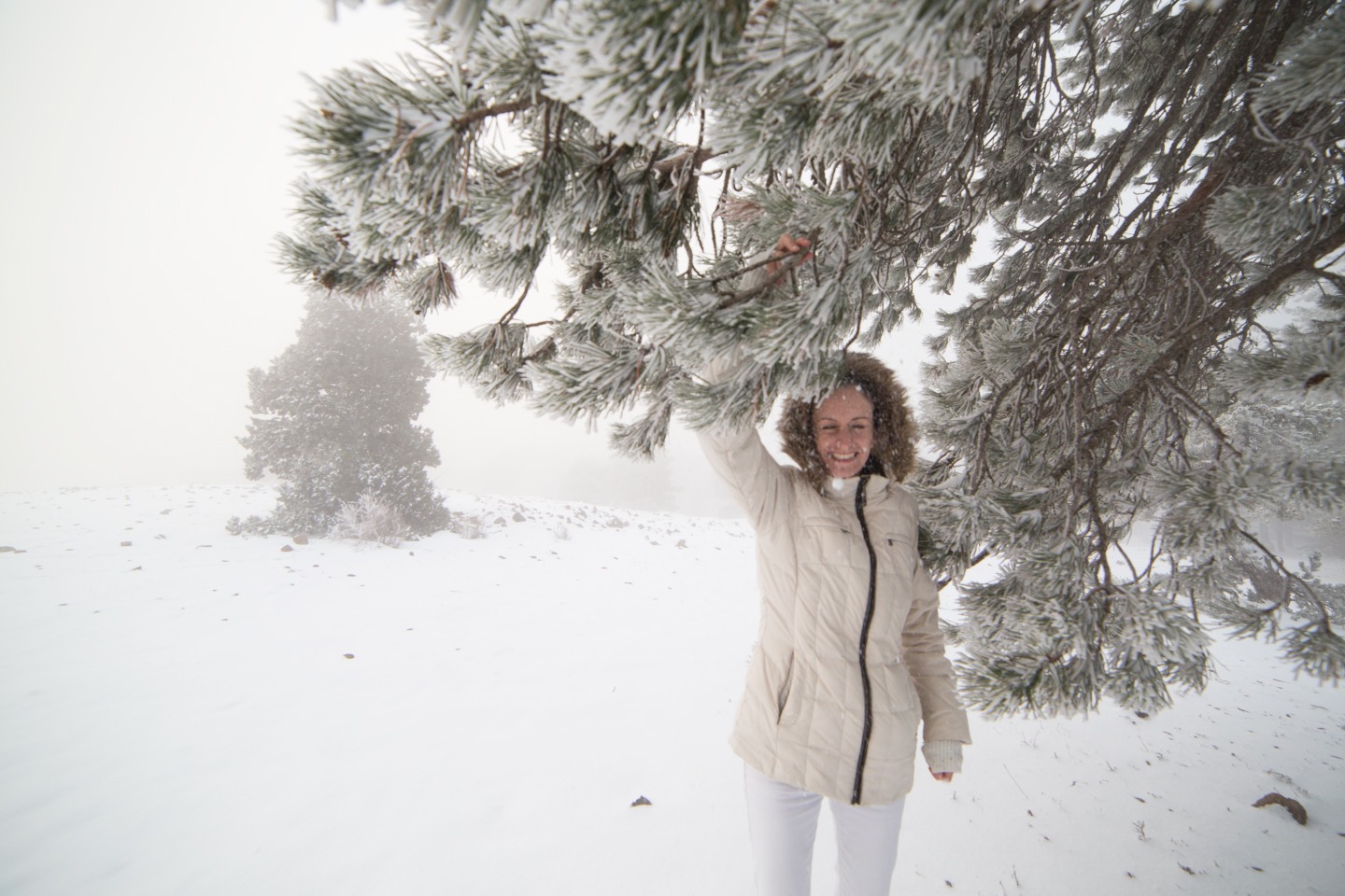 first-snow-troodos-cyprus-31