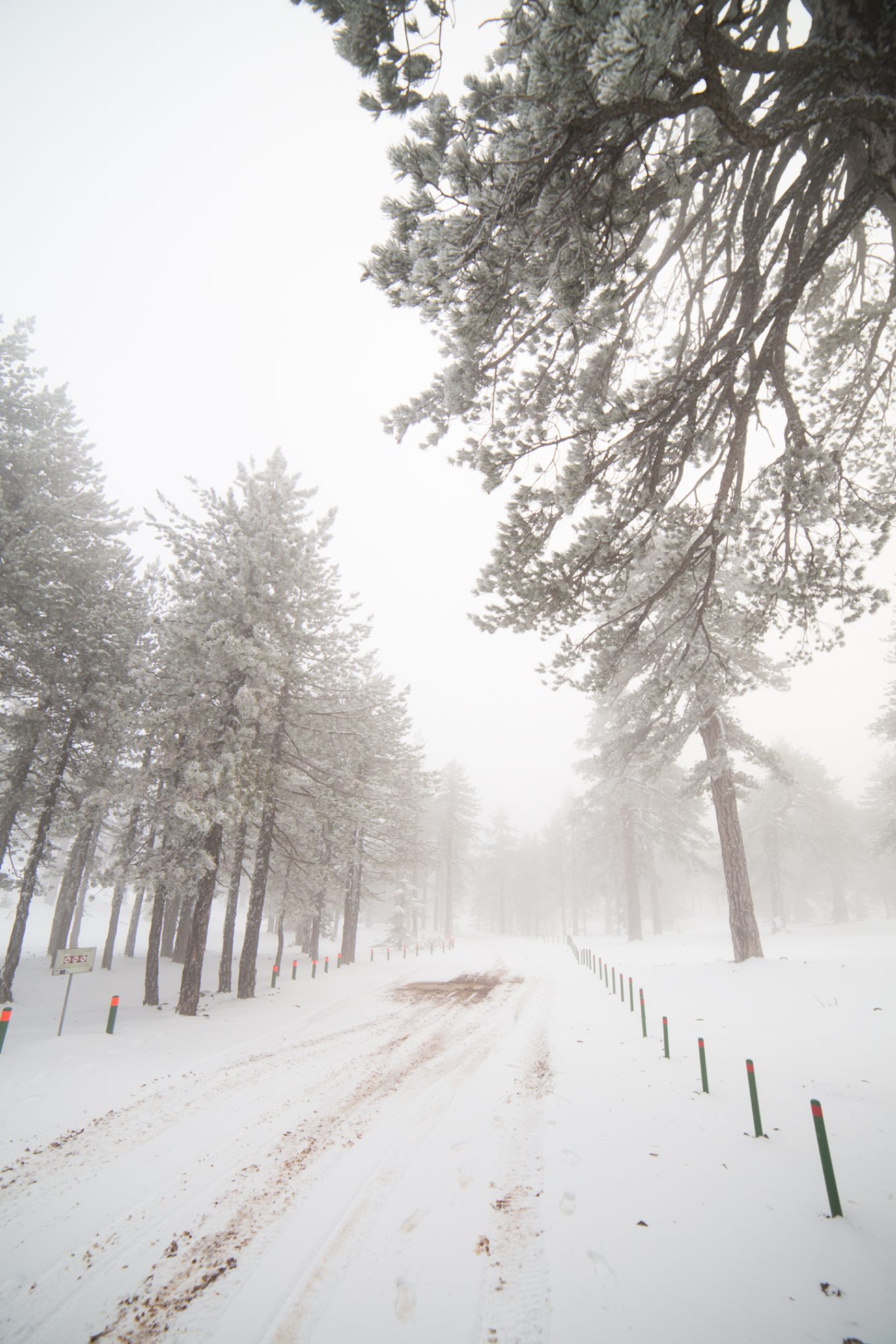 first snow troodos cyprus 35