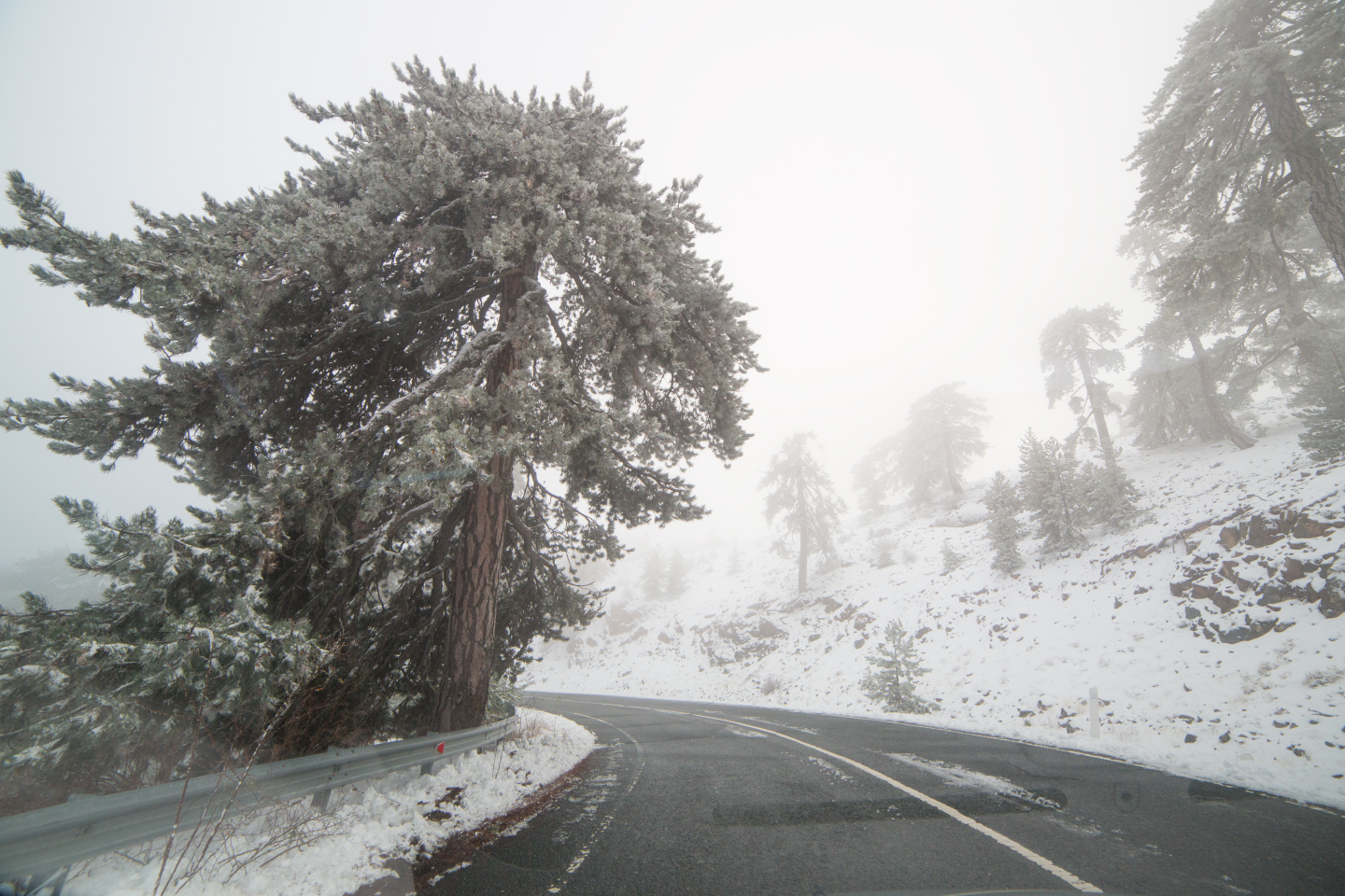 first-snow-troodos-cyprus-40