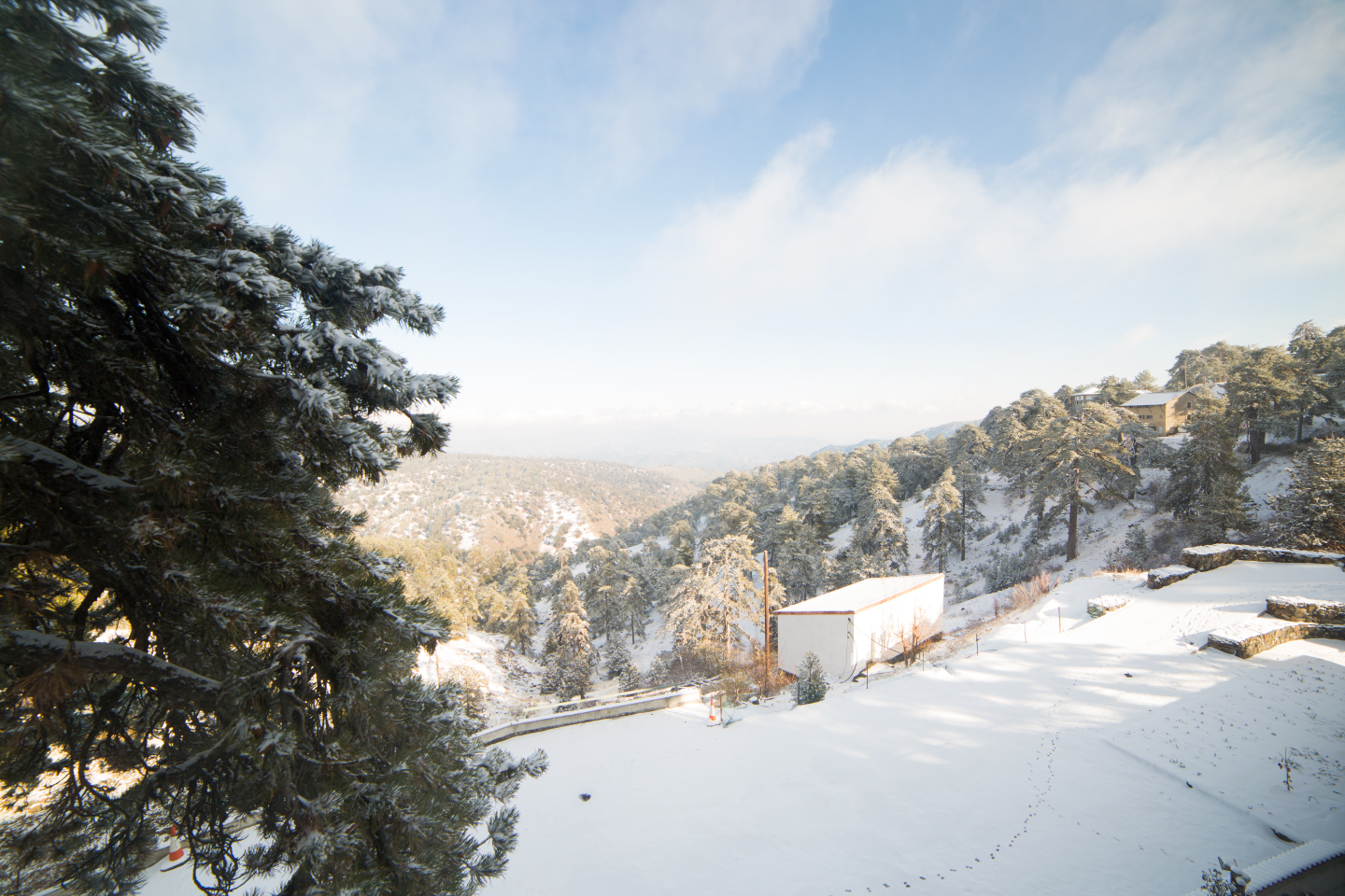 first-snow-troodos-cyprus-8