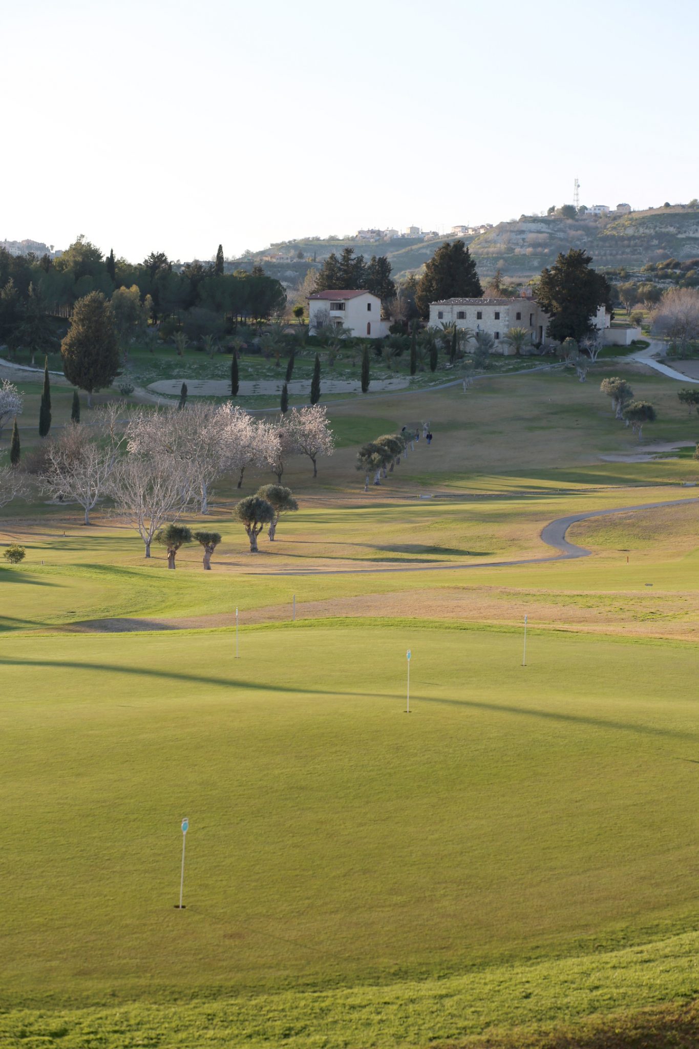 minthis hills, tsada - cyprus