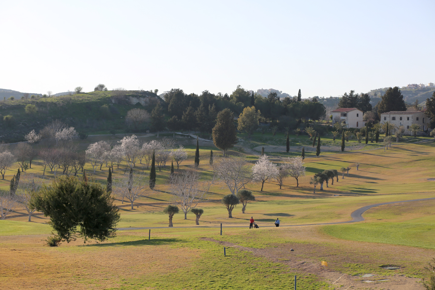 Minthis Hills, Tsada - Cyprus