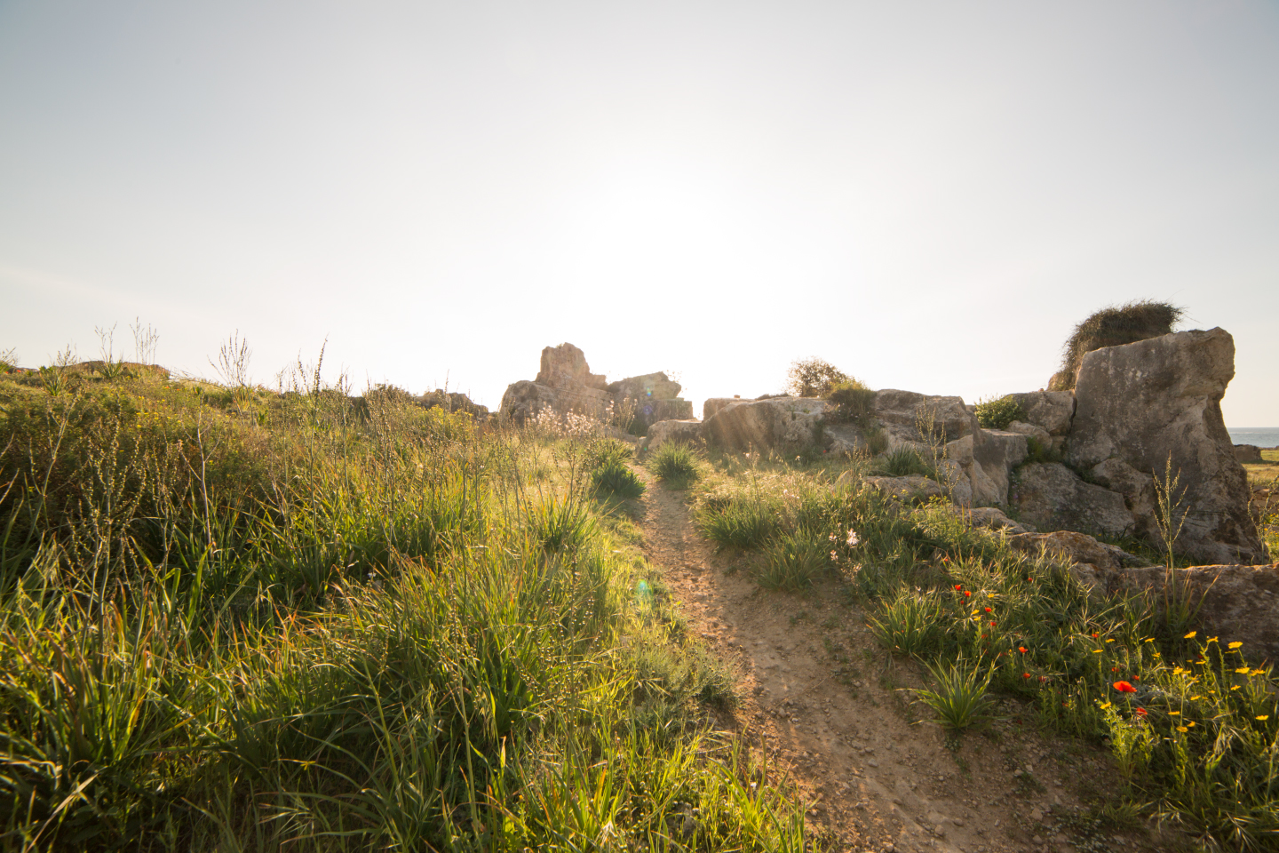 Tombs of The Kings, Paphos - Cyprus