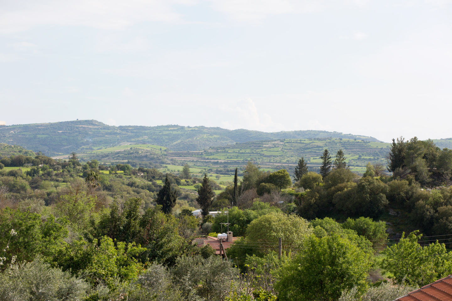 Tsangarides Winery Cyprus