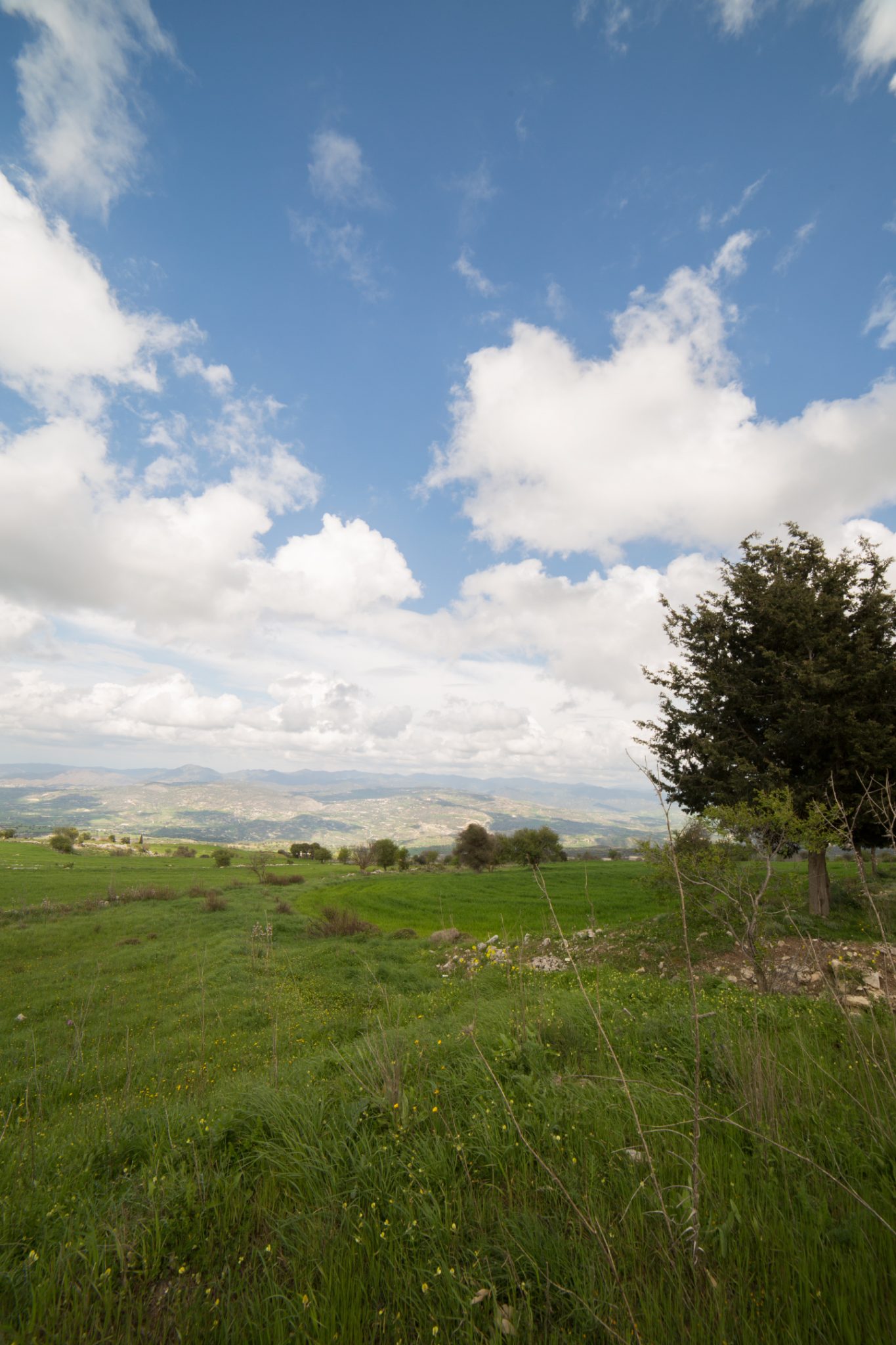 Tsangarides Winery Cyprus