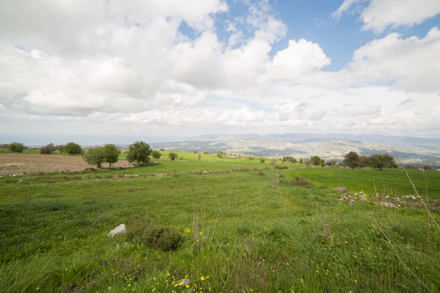 tsangarides winery cyprus 30