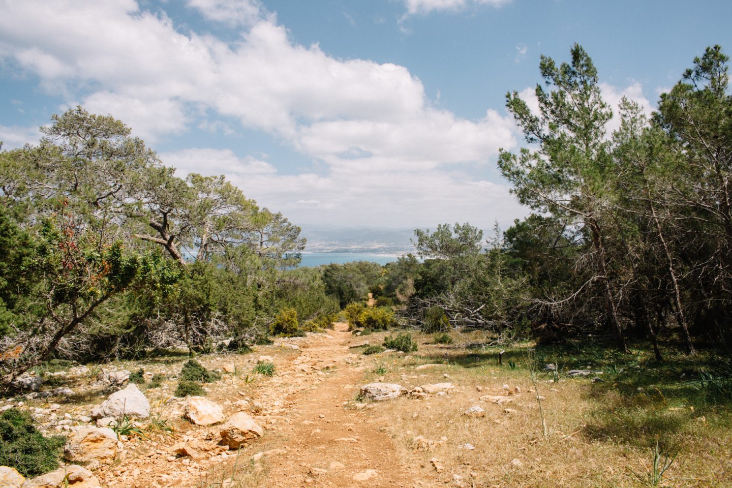 akamas peninsula 31