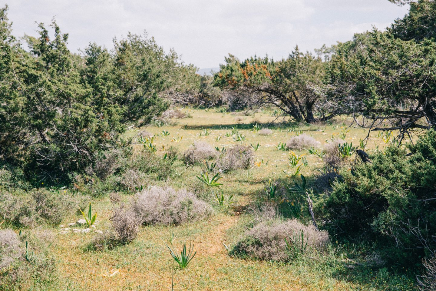 akamas peninsula 47