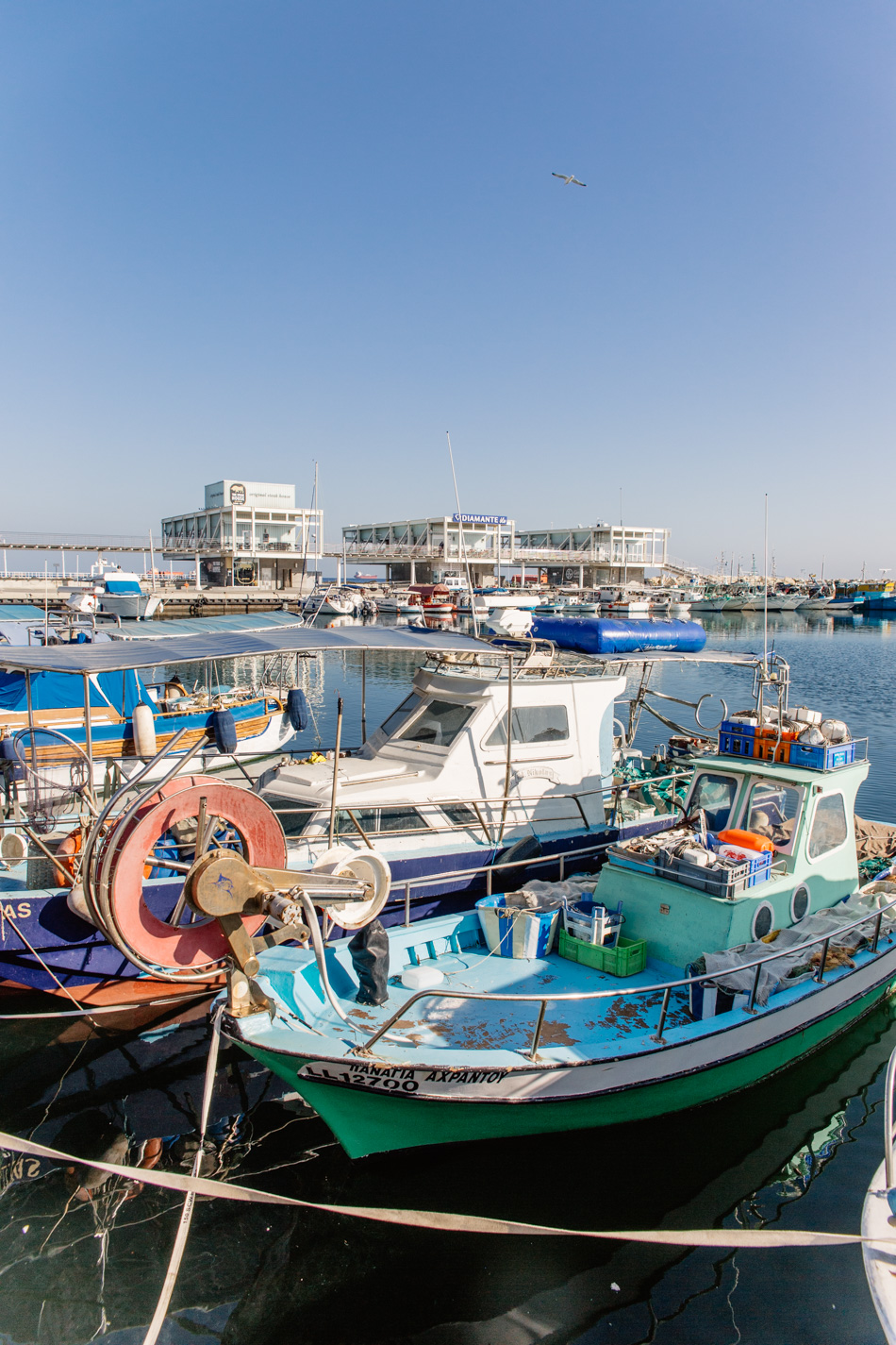 Limassol marina
