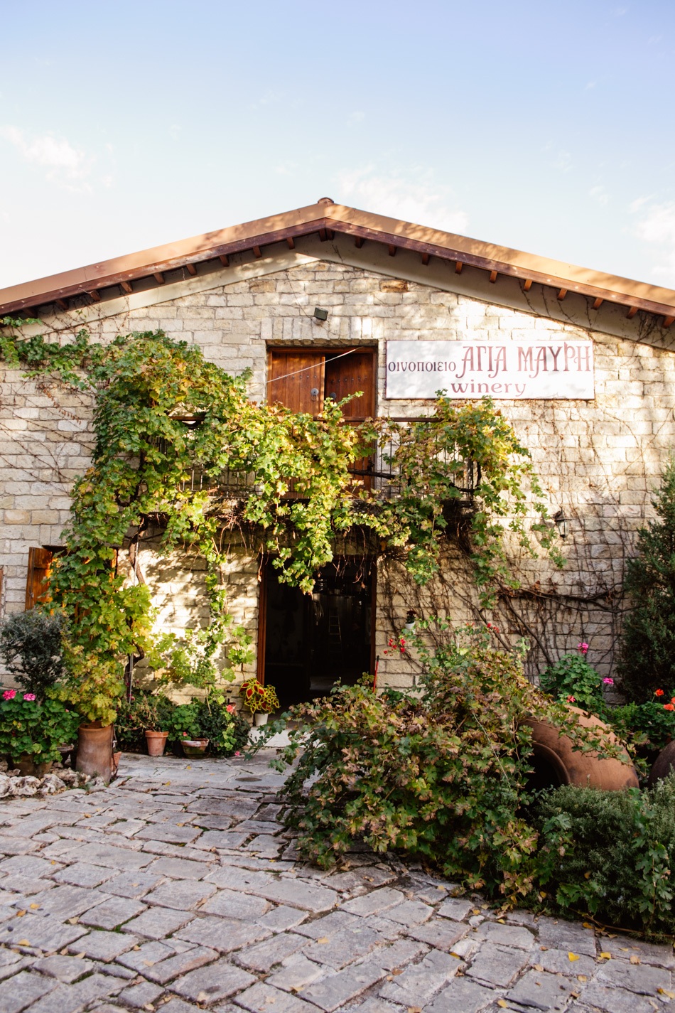 Wineries in Cyprus - Ayia Mavri Winery