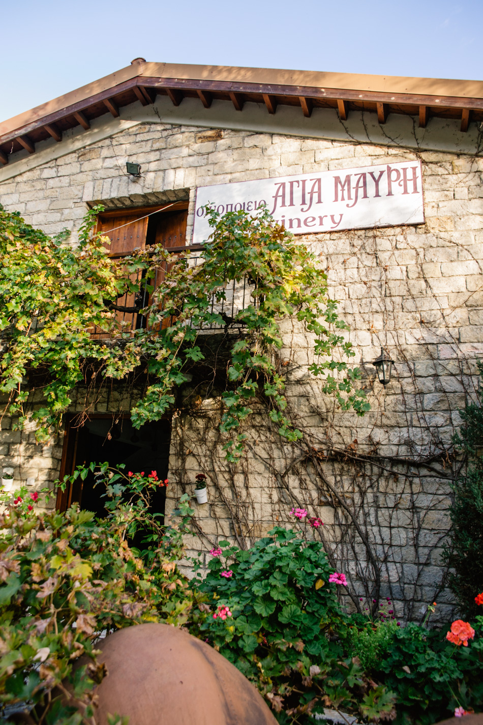 wineries cyprus