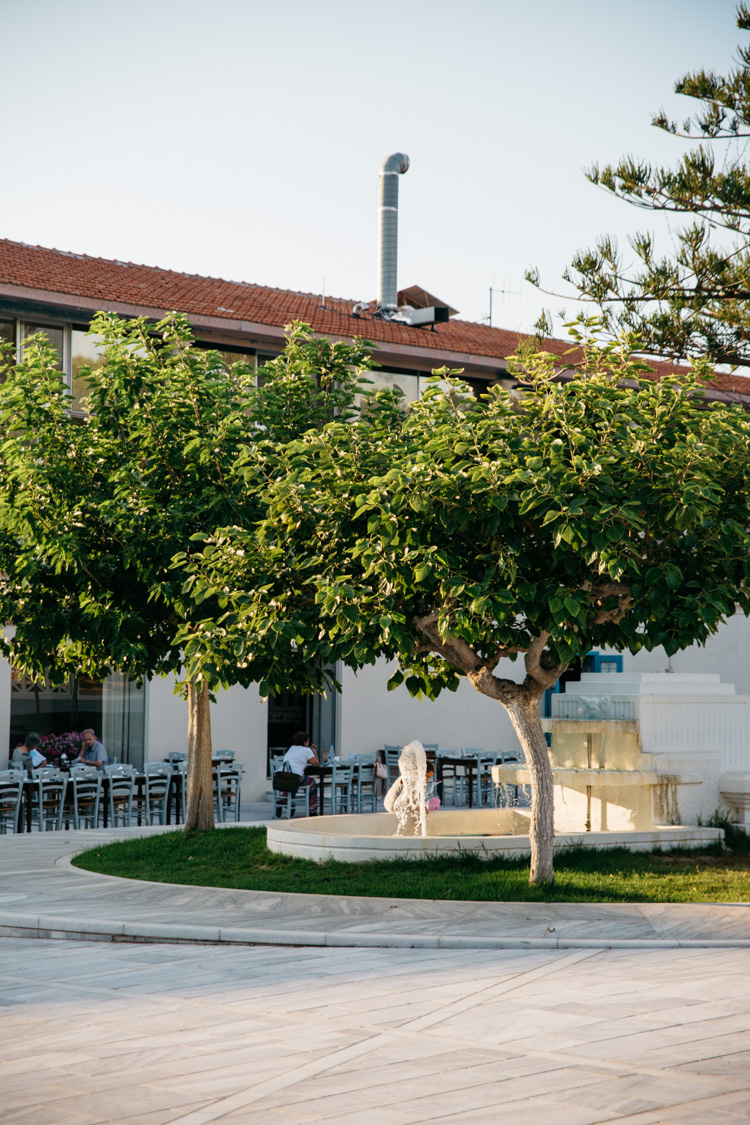 koutourou ouzeri restaurant paphos