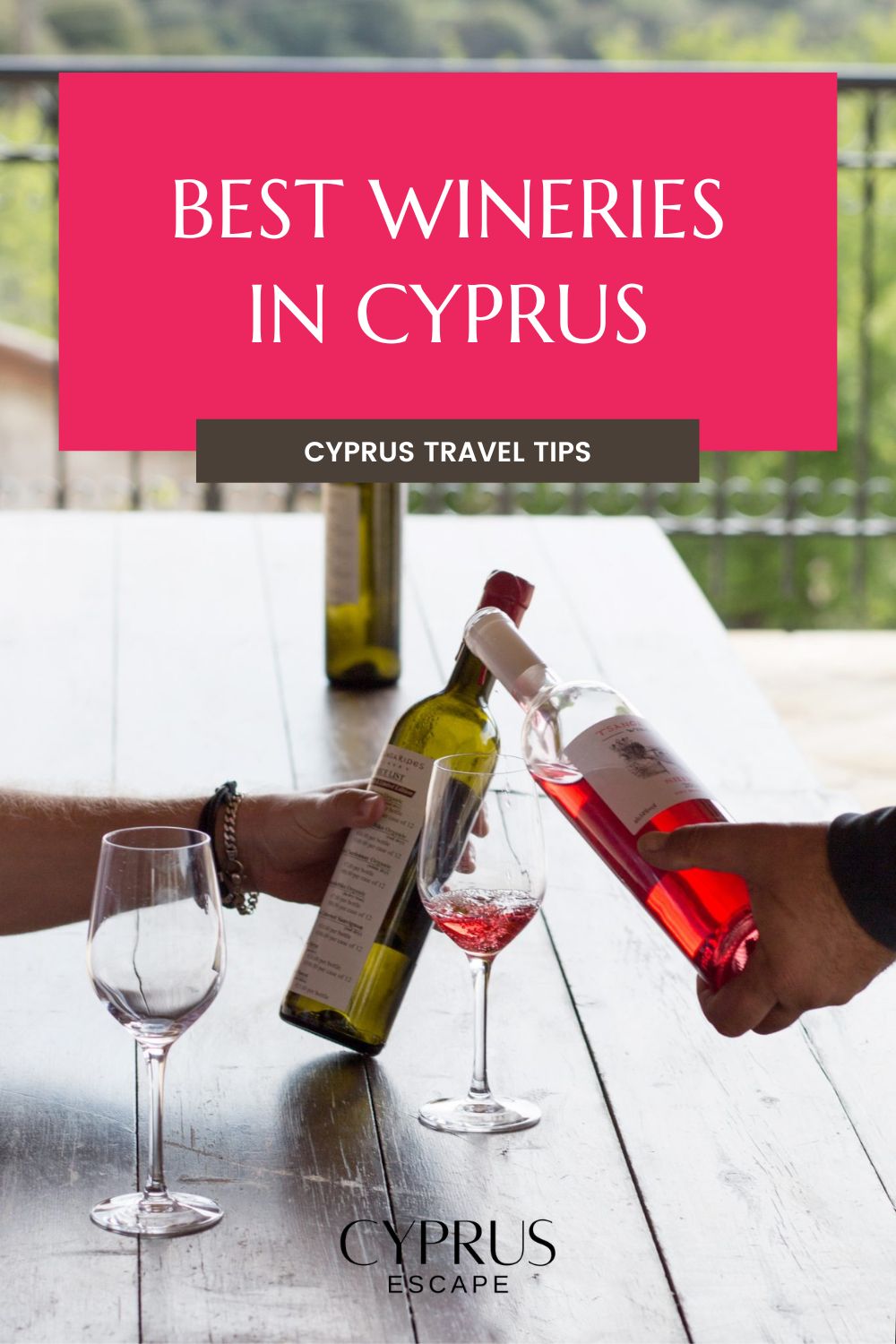 pinterest image for an article about best wineries in cyprus