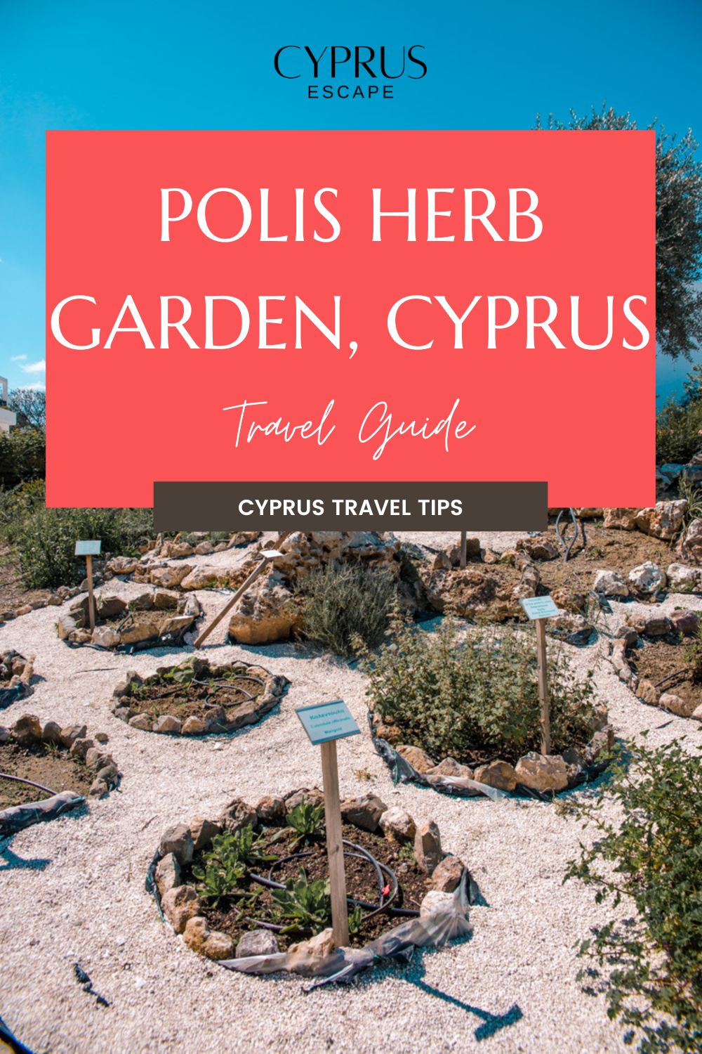 a pinterest post for an article about polis herb garden in cyprus