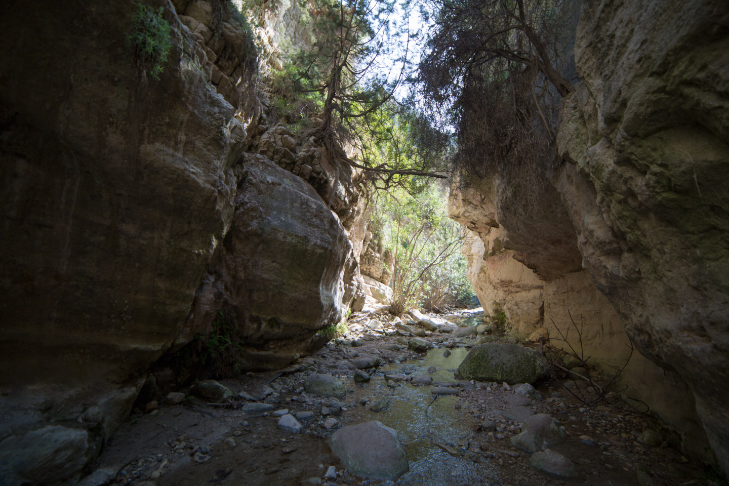 Things to do in paphos with kids - Avakas Gorge