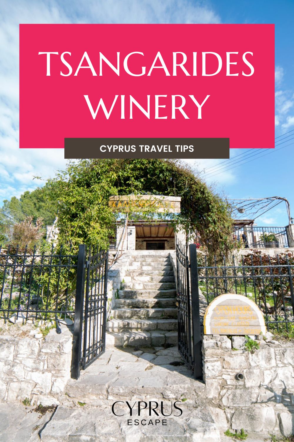 pinterest image for an article about tsangarides winery