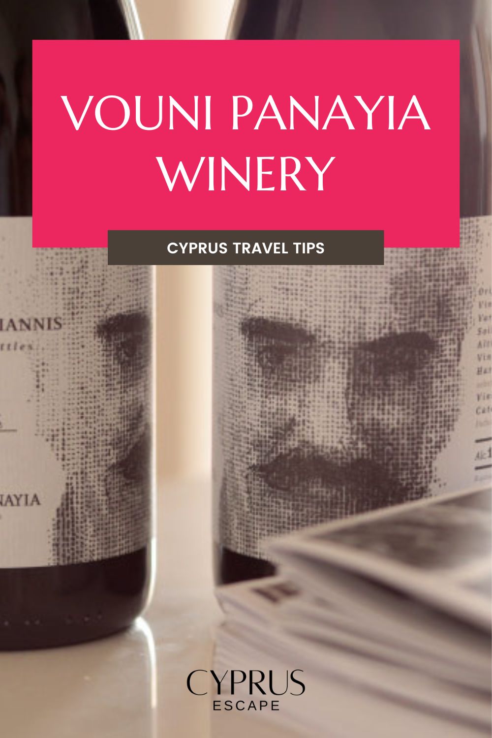 pinterest pin for an article about wine tasting at vouni panayia winery