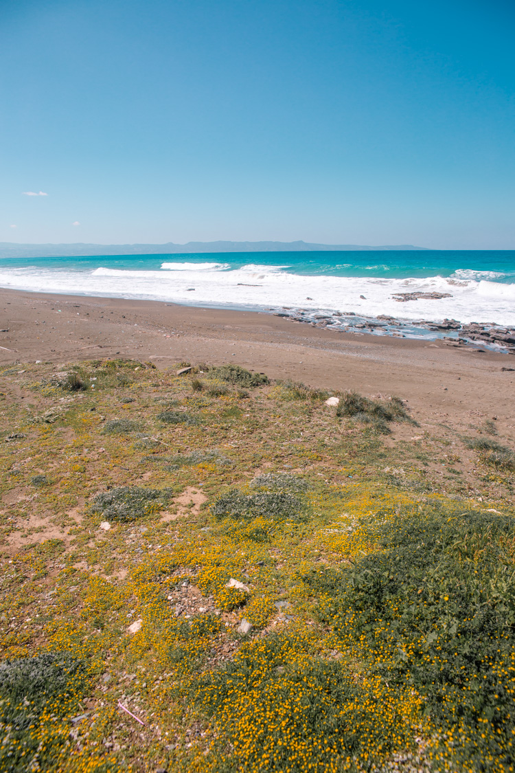 driving in cyprus