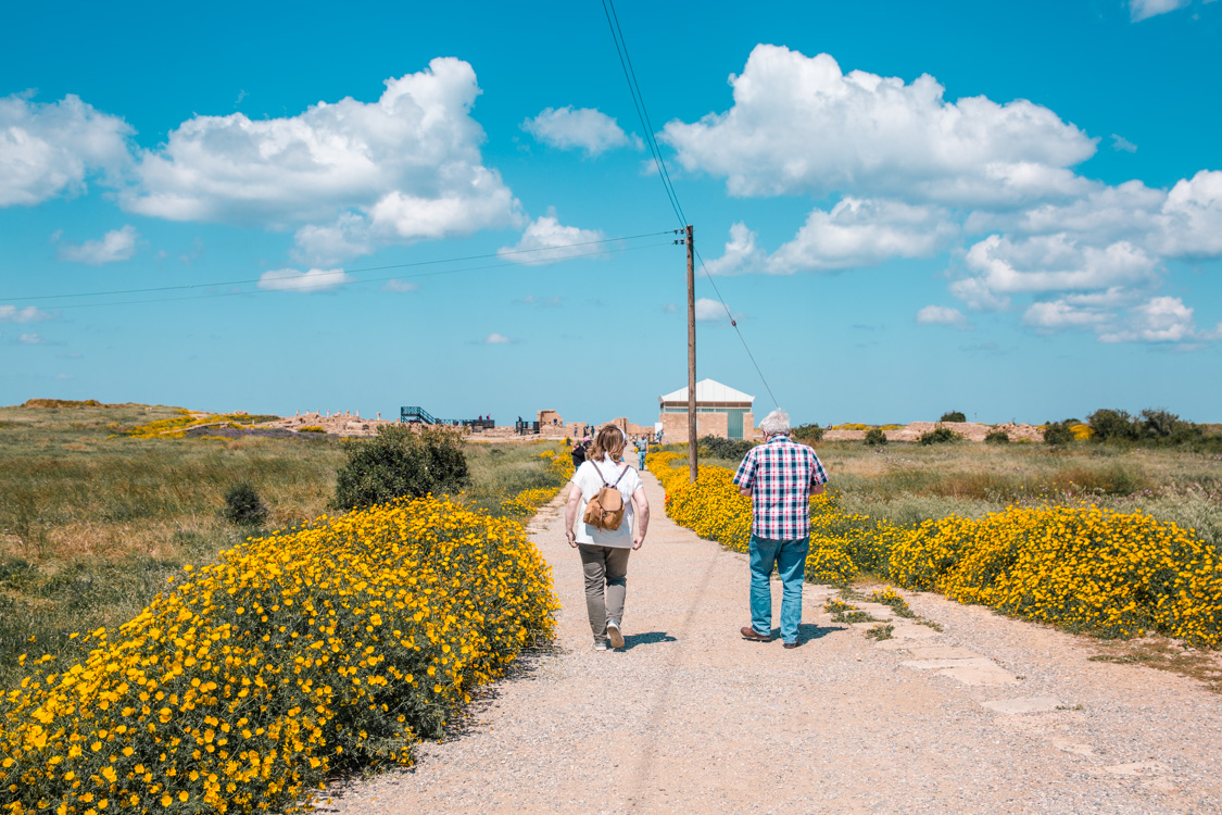 Paphos Archaeological Park