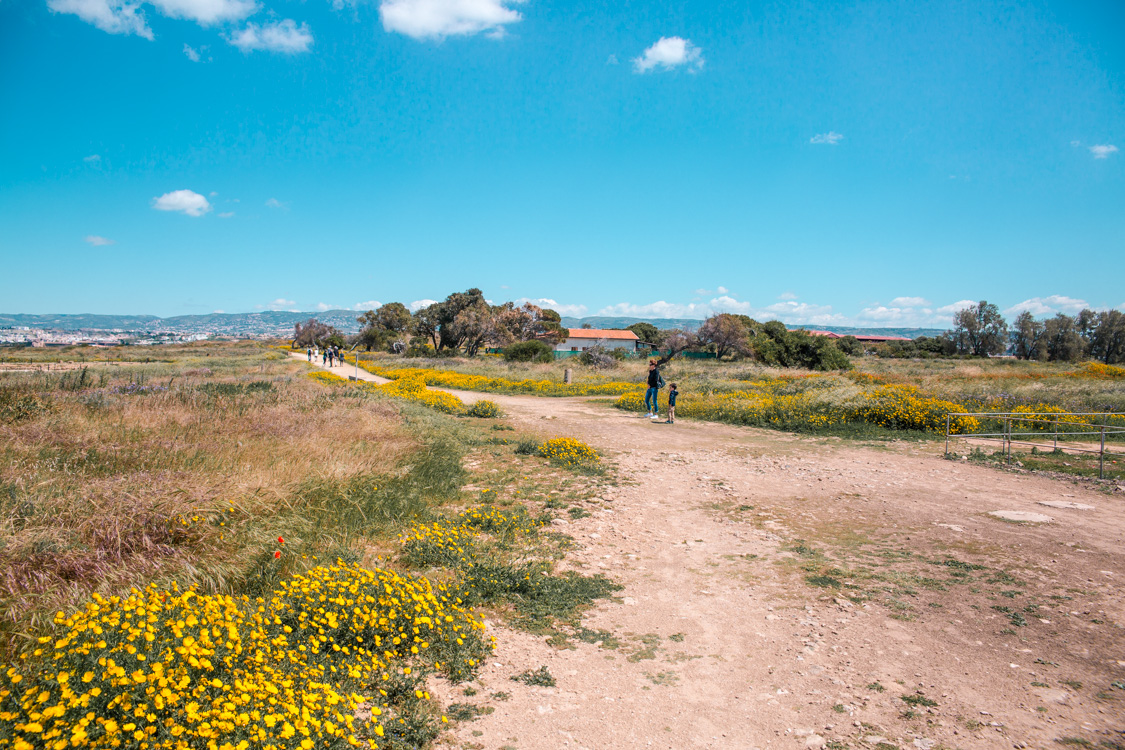 Paphos Archaeological Park