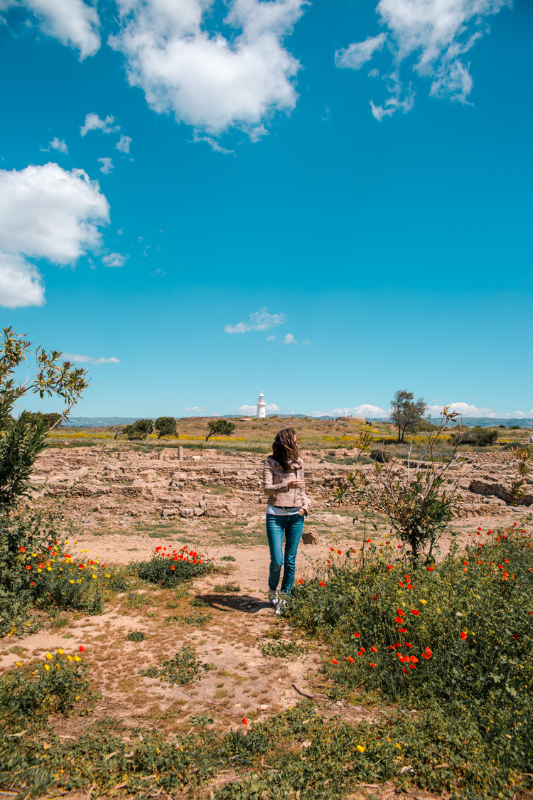 Paphos Archaeological Park