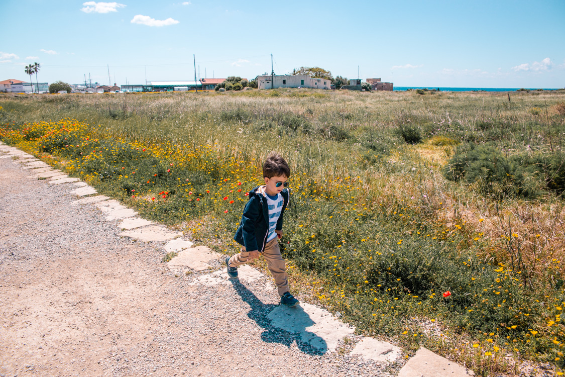 Paphos Archaeological Park