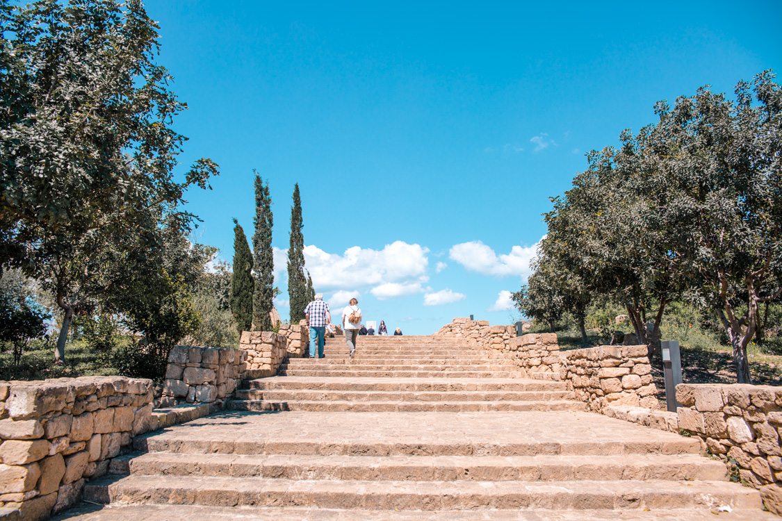 Paphos Archaeological Park