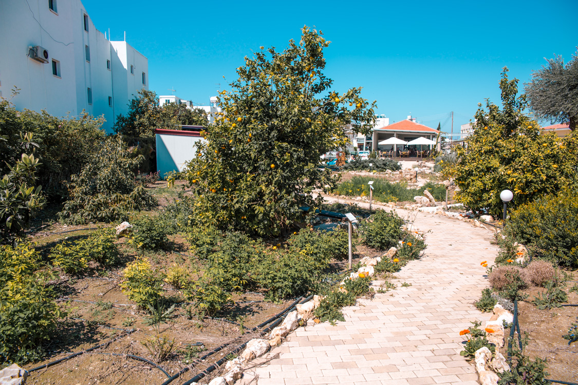 herb garden restaurant polis cyprus