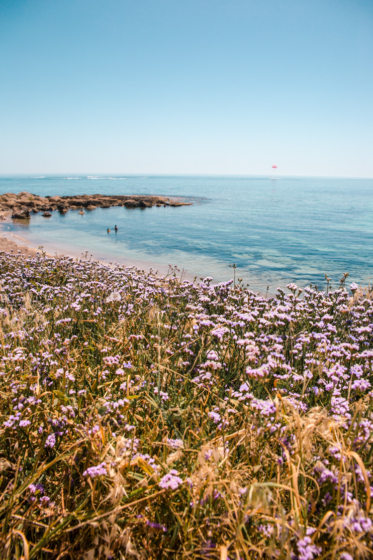 Cyprus Weather in May