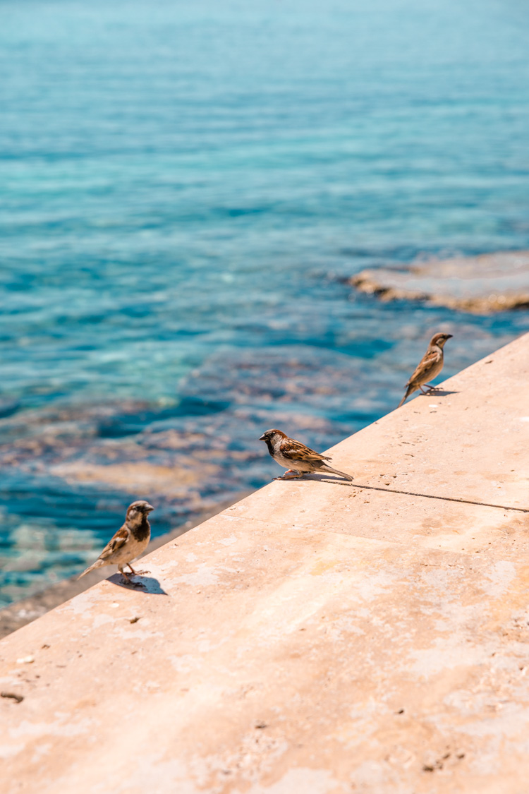 Kato Paphos, Cyprus