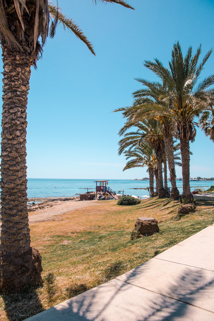 paphos harbour