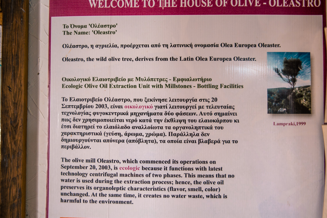 oleastro olive oil park and museum cyprus 15