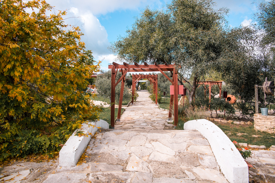 oleastro olive oil park and museum cyprus 21