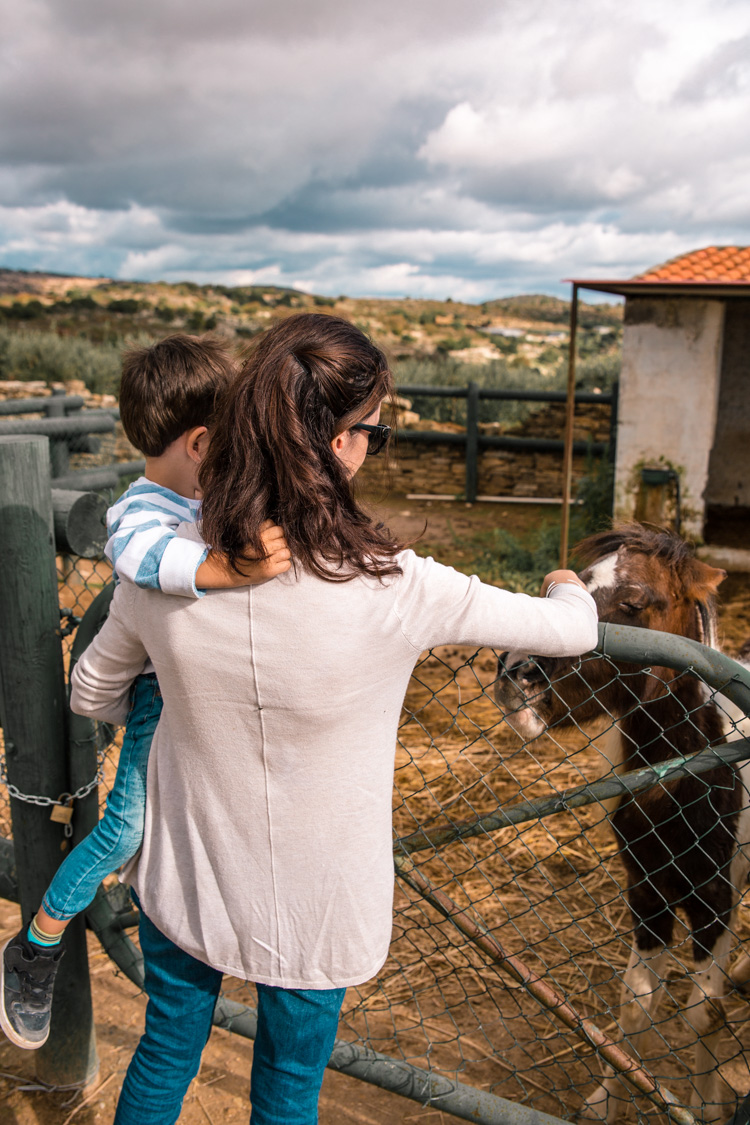 oleastro olive oil park and museum cyprus 30