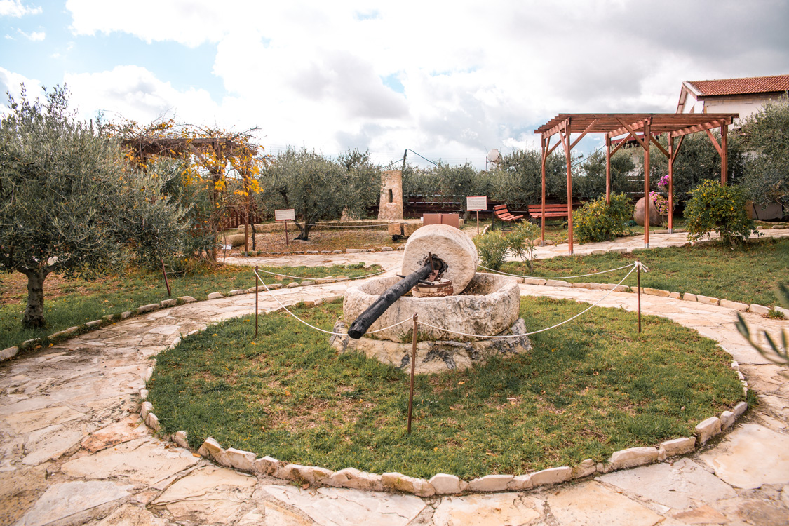 oleastro olive oil park and museum cyprus 43