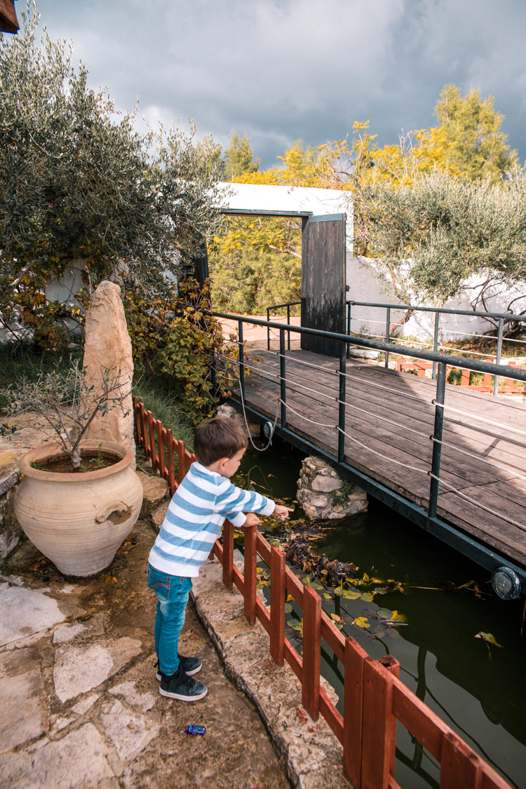 oleastro olive oil park and museum cyprus 50