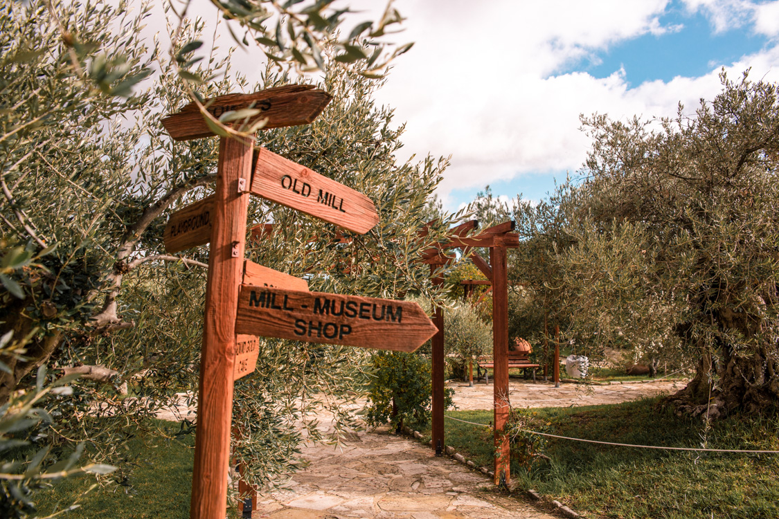 oleastro olive oil park and museum cyprus 57