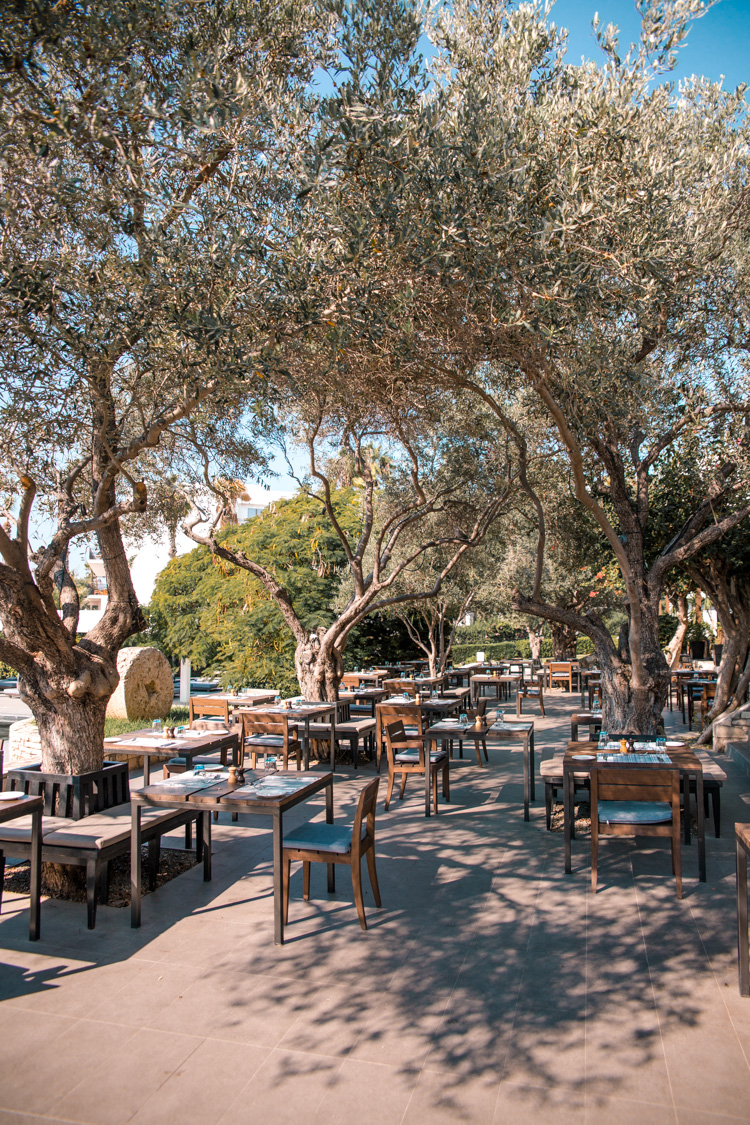 Ouzeri restaurant at Almyra Hotel, Paphos - Cyprus