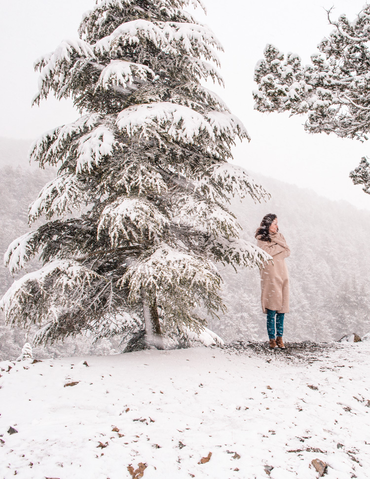 snow in troodos