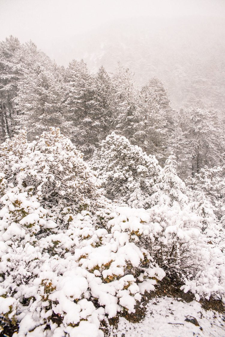 Snowy landscapes in Troodos Mountains